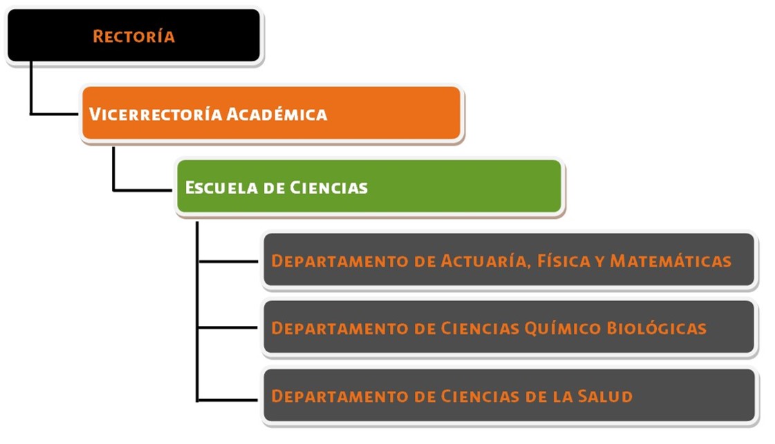 OrganigramaVAC-EscCiencias_202507
